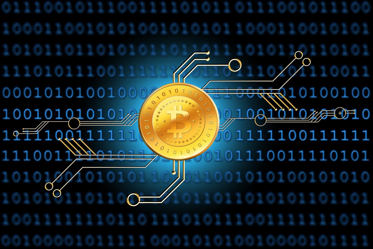 2023年最新单机游戏排行，探索游戏世界的巅峰之作